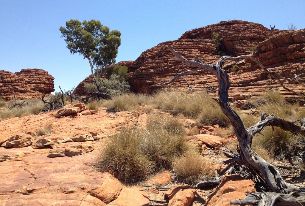 Red desert landscape in the Australian outback