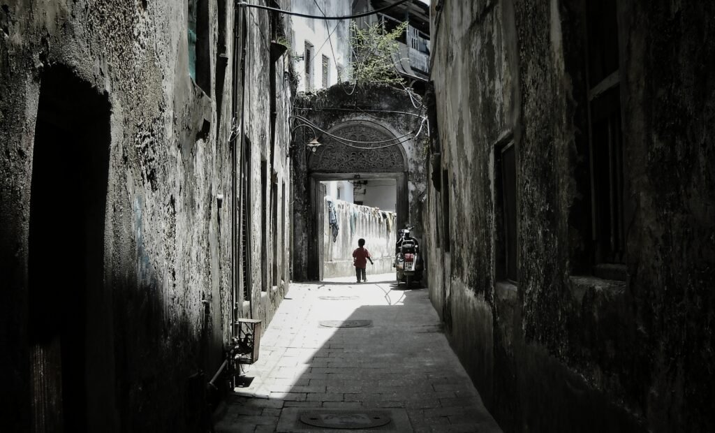 Waterfront buildings of Stone Town, Zanzibar