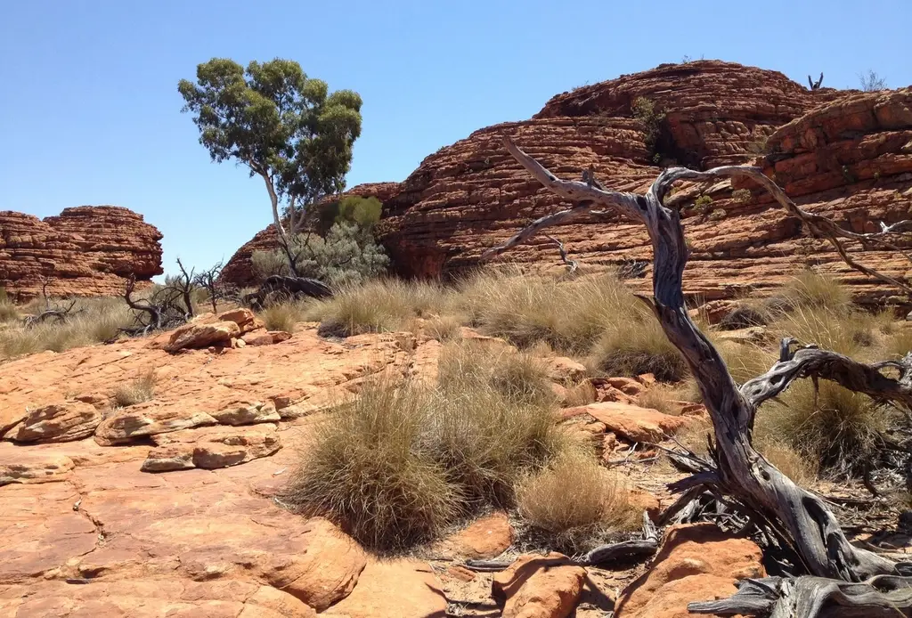 Red desert landscape in the Australian outback